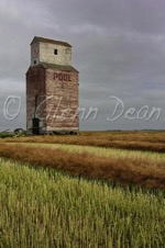 Tate (relocated to area farm)
September 2004